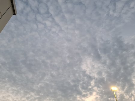 20230628_215824.jpg