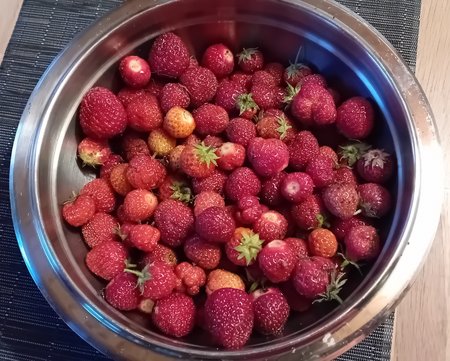 20230628_215816.jpg