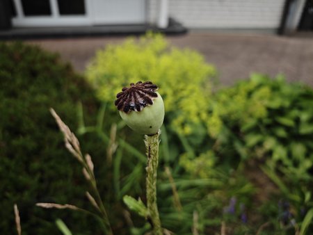IMG_20230629_184543.jpg