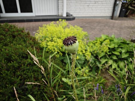IMG_20230629_185029.jpg