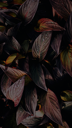 @OsumWalls Kewl 9165387209 (3).png