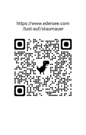 chrome_qrcode_1688063079542.png