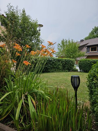 20230630_144404.jpg