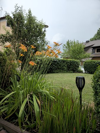 20230630_144419.jpg
