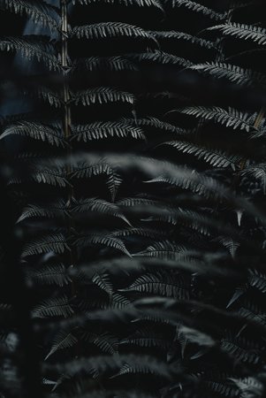 Wallpaper 2.jpg