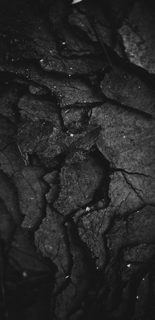 peakpx-5.jpg