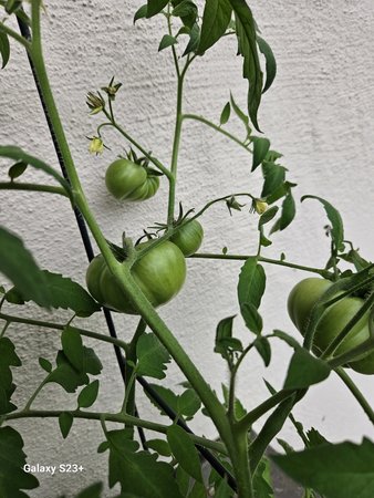 20230701_131652.jpg