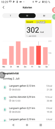calories_amazfit4.png