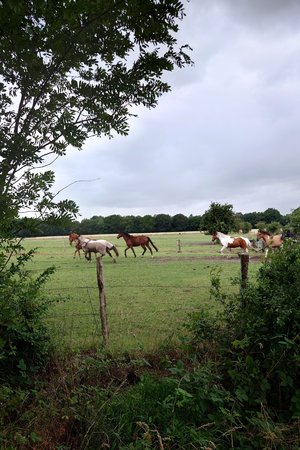20230705_162426.JPG