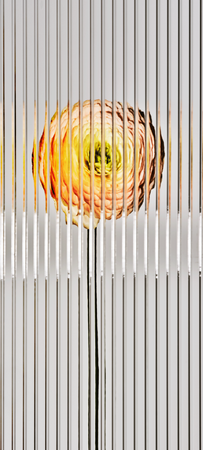 wallpaper_flower_orange_glass.png