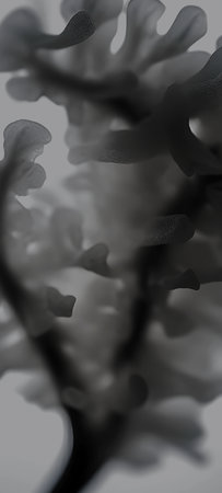 wallpaper_fottse_dark.jpg