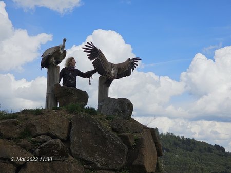 20230505_113021.jpg