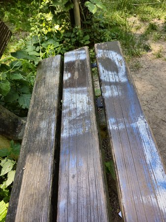 20230707_135006.jpg