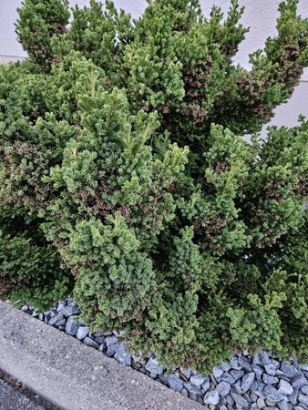 20230707_212940.jpg
