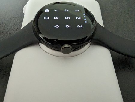 PXL_20230709_120458204.jpg