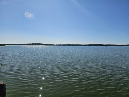 20230709_095026.jpg