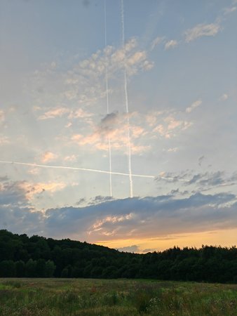 IMG_20230710_204246.jpg