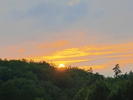 IMG_20230710_203811.jpg
