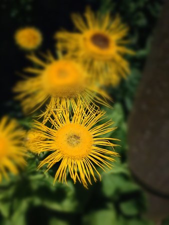 IMG_20230709_234542.jpg