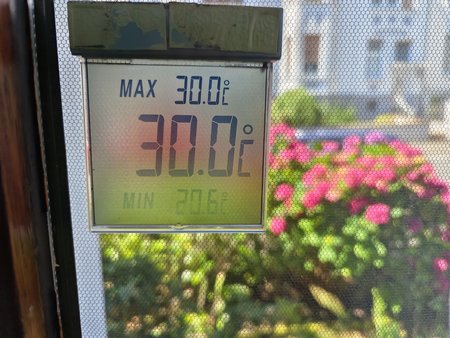 IMG_20230711_162753.jpg