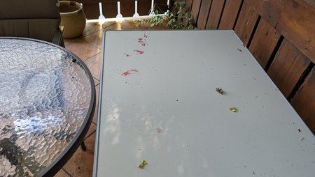 PXL_20230711_155956135.jpg
