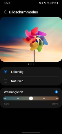Screenshot_20230712_132847_Settings.jpg