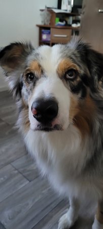 20230624_192722.jpg