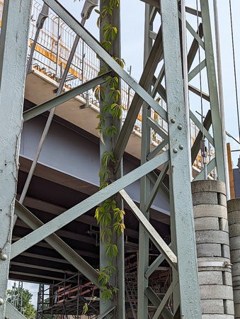 PSX_20230713_201241.jpg