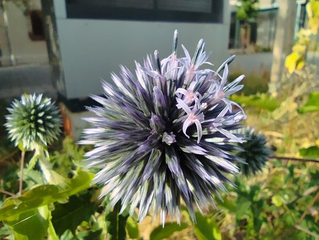 IMG_20230714_080620.jpg