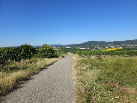 20230715_084850.jpg