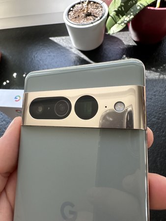 Pixel Camera 1.jpeg