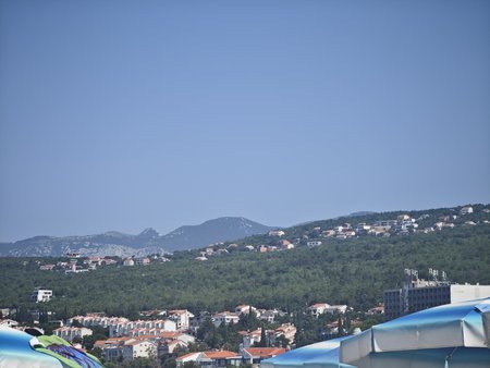 IMG_20230716_110021.jpg