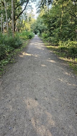 20230718_081640.jpg