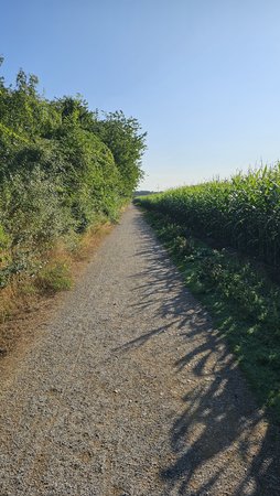 20230718_083724.jpg