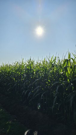 20230718_083924.jpg