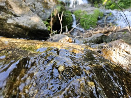 20230618_095558.jpg