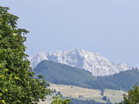 IMG_20230718_173755.jpg