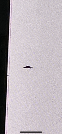 IMG_1410.png