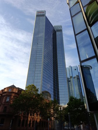 IMG20230718201110.jpg