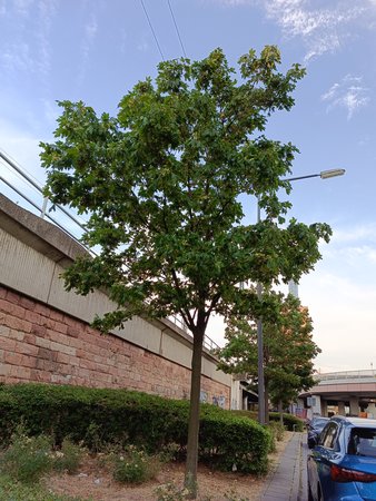 IMG20230718203228.jpg