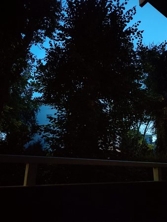 IMG20230718221425.jpg