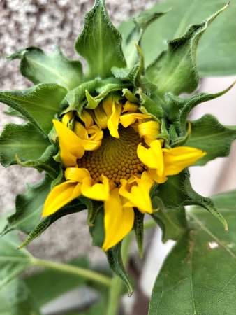 IMG_20230720_160536843.jpg