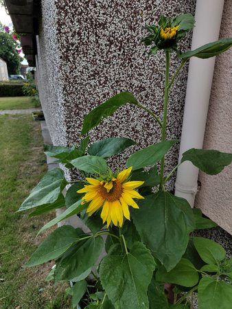 IMG_20230720_160520873.jpg