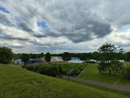 IMG_20230720_163839782.jpg
