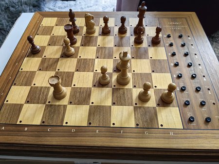 IMG_20230720_181441.jpg