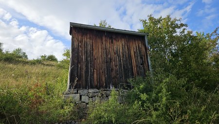 20230721_183604.jpg