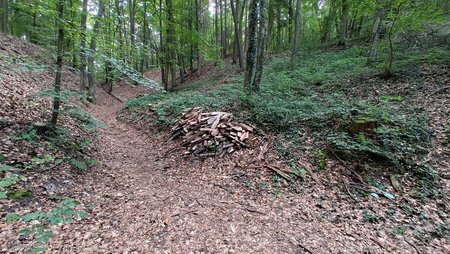 IMG_20230721_182854714.jpg
