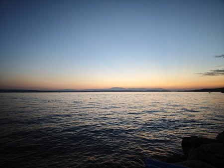IMG_20230716_211420.jpg