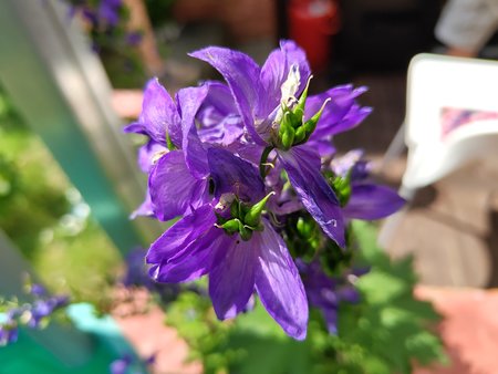IMG_20230722_145955141.jpg