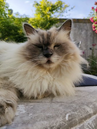 IMG20230529180728.jpg